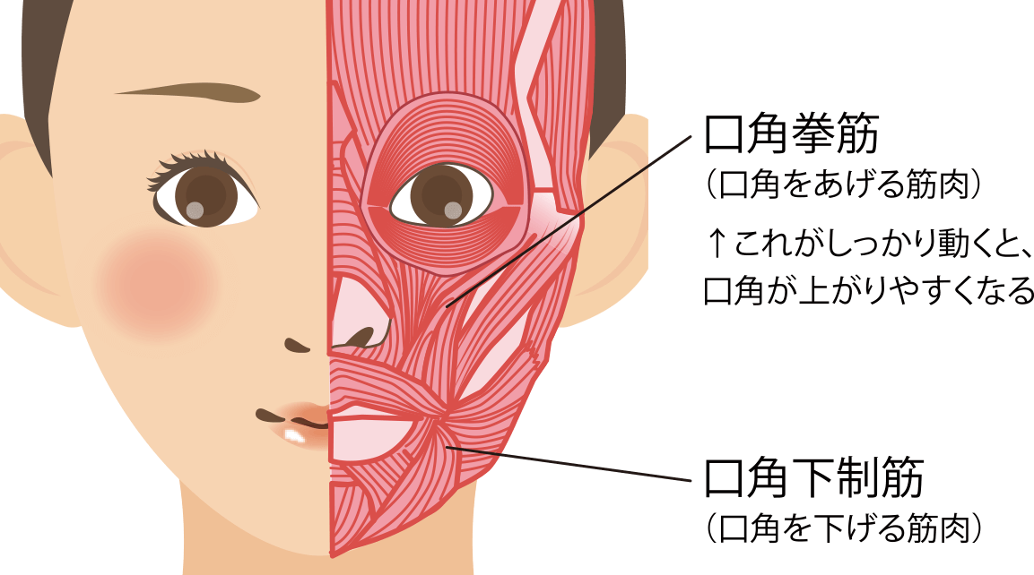口角挙上